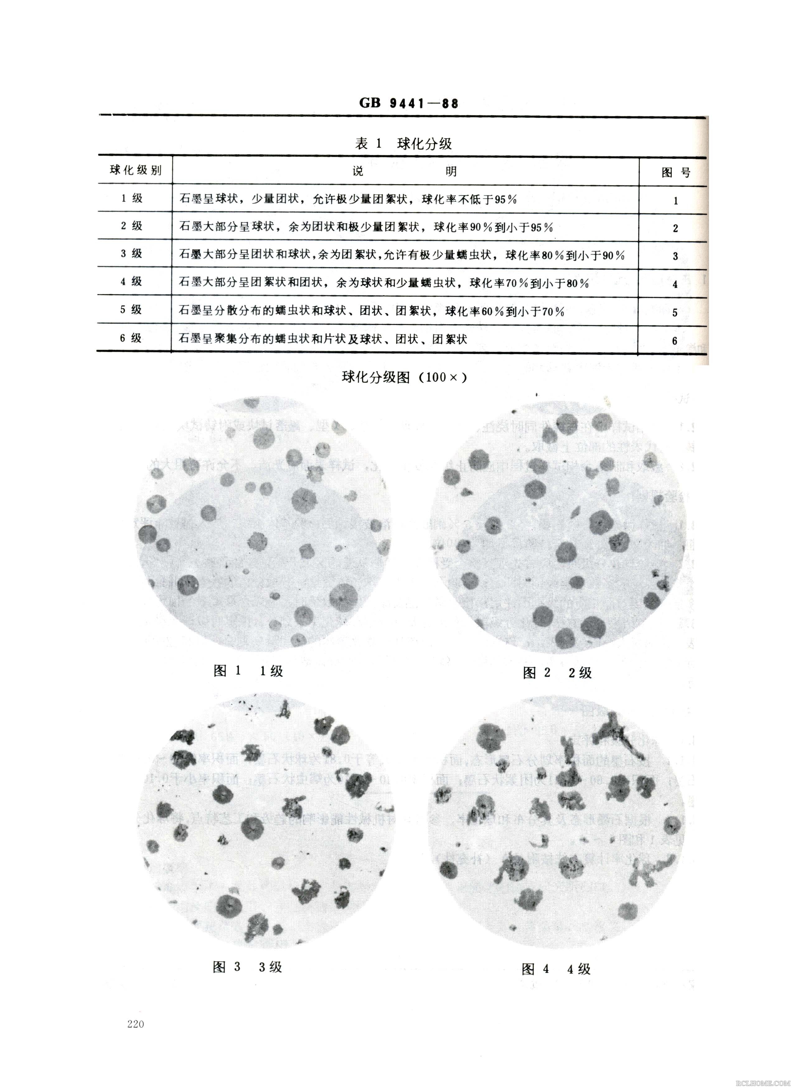 球铁金相002.Jpg