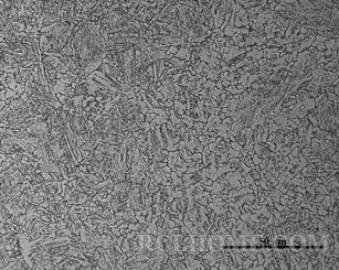 20Mn2调质状态（100×）.jpg