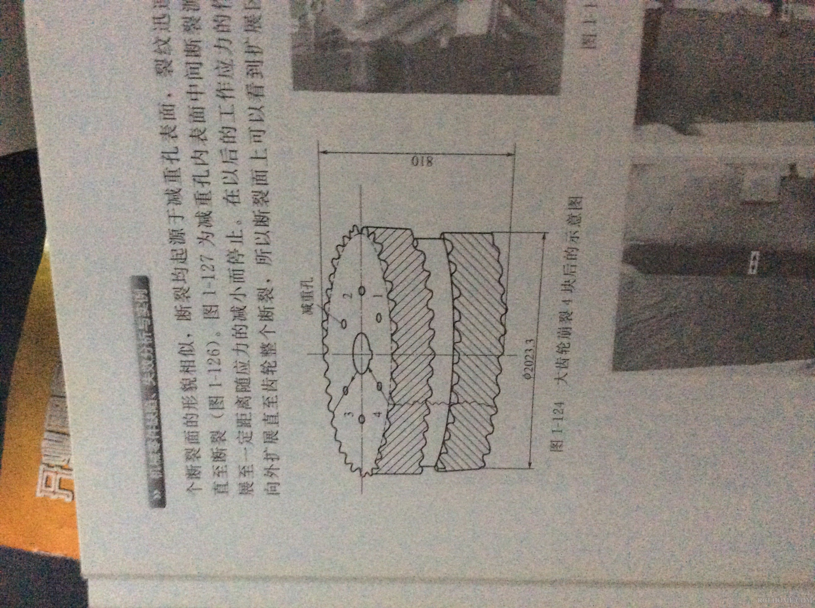 image.jpg