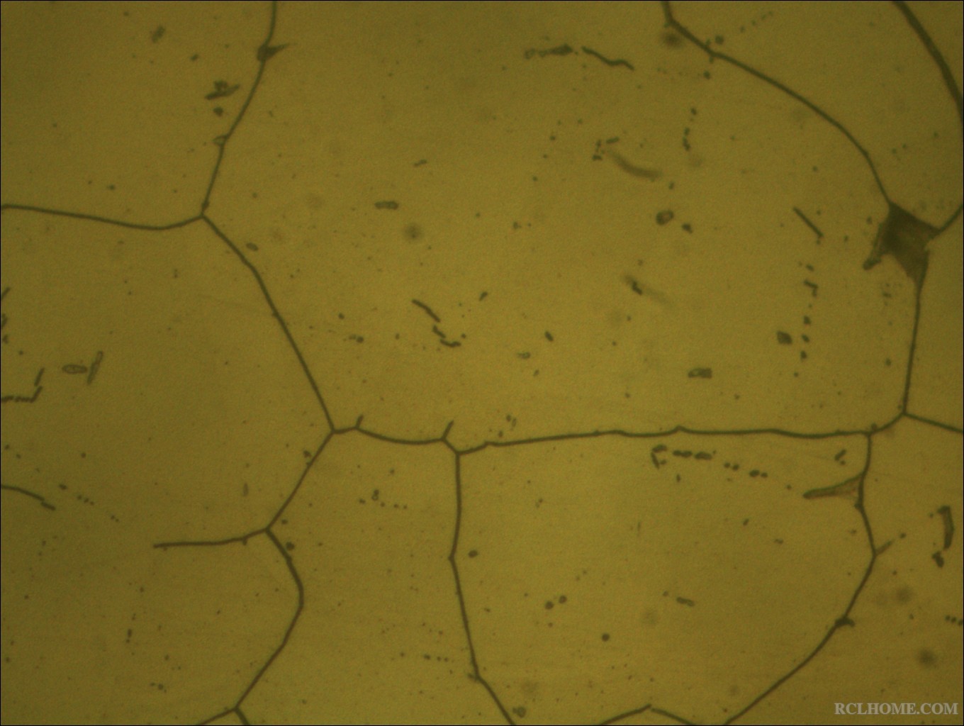 晶间腐蚀后，400倍