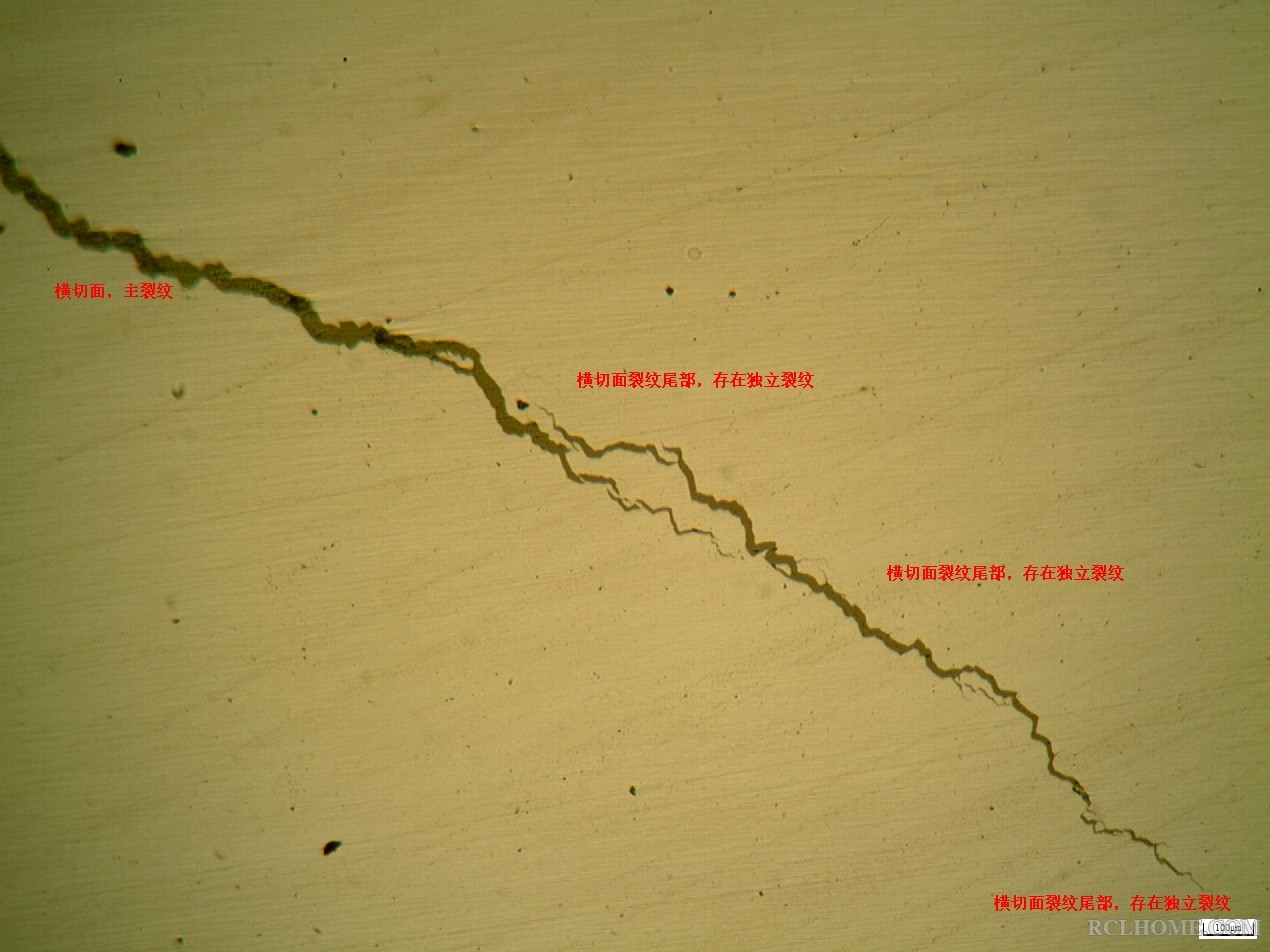 裂纹尾部100倍.JPG