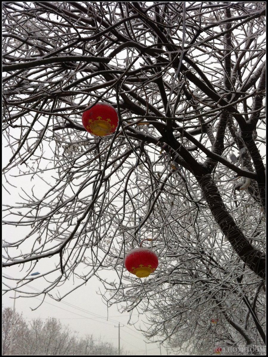 北风卷地白草折，胡天八月即飞雪.jpg