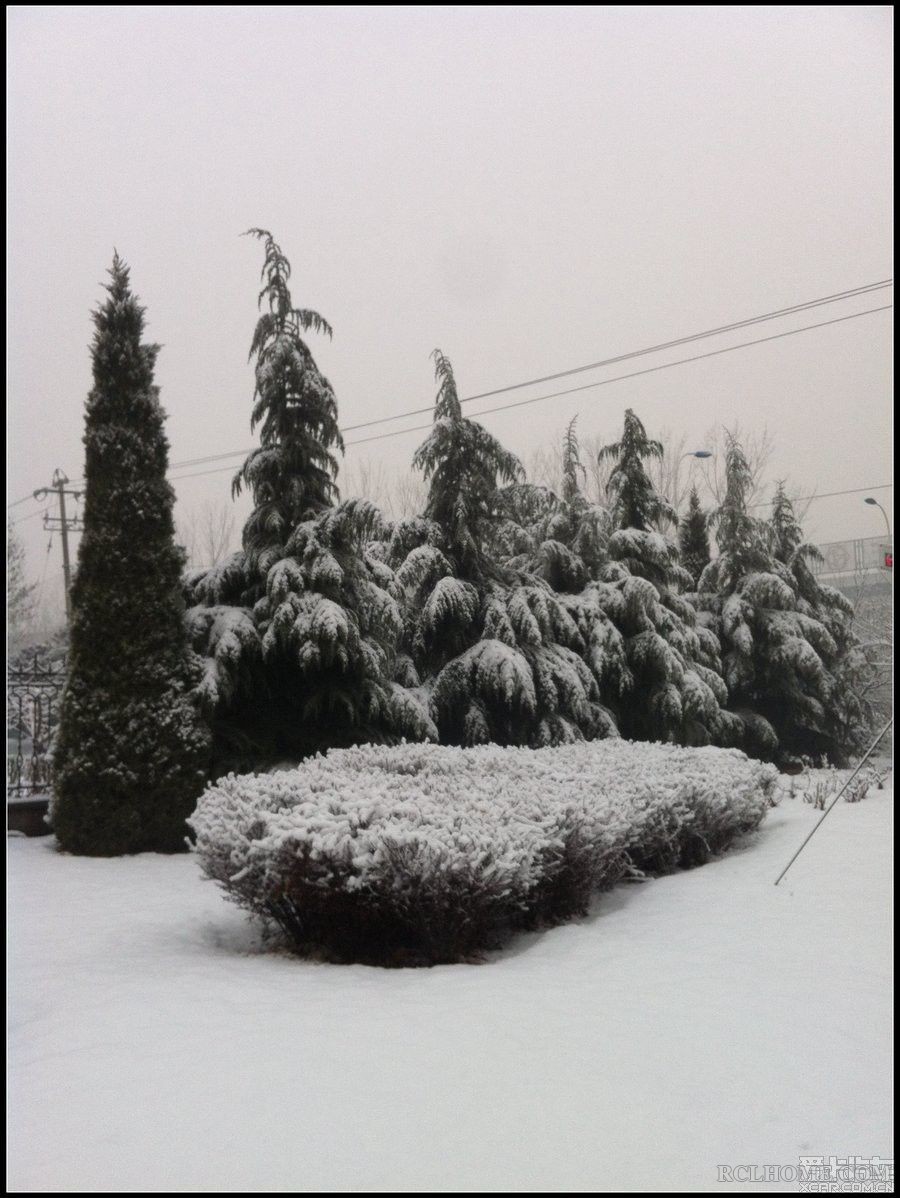 青松傲雪——萧萧烟雨九原上， 白杨青松葬者谁？.jpg