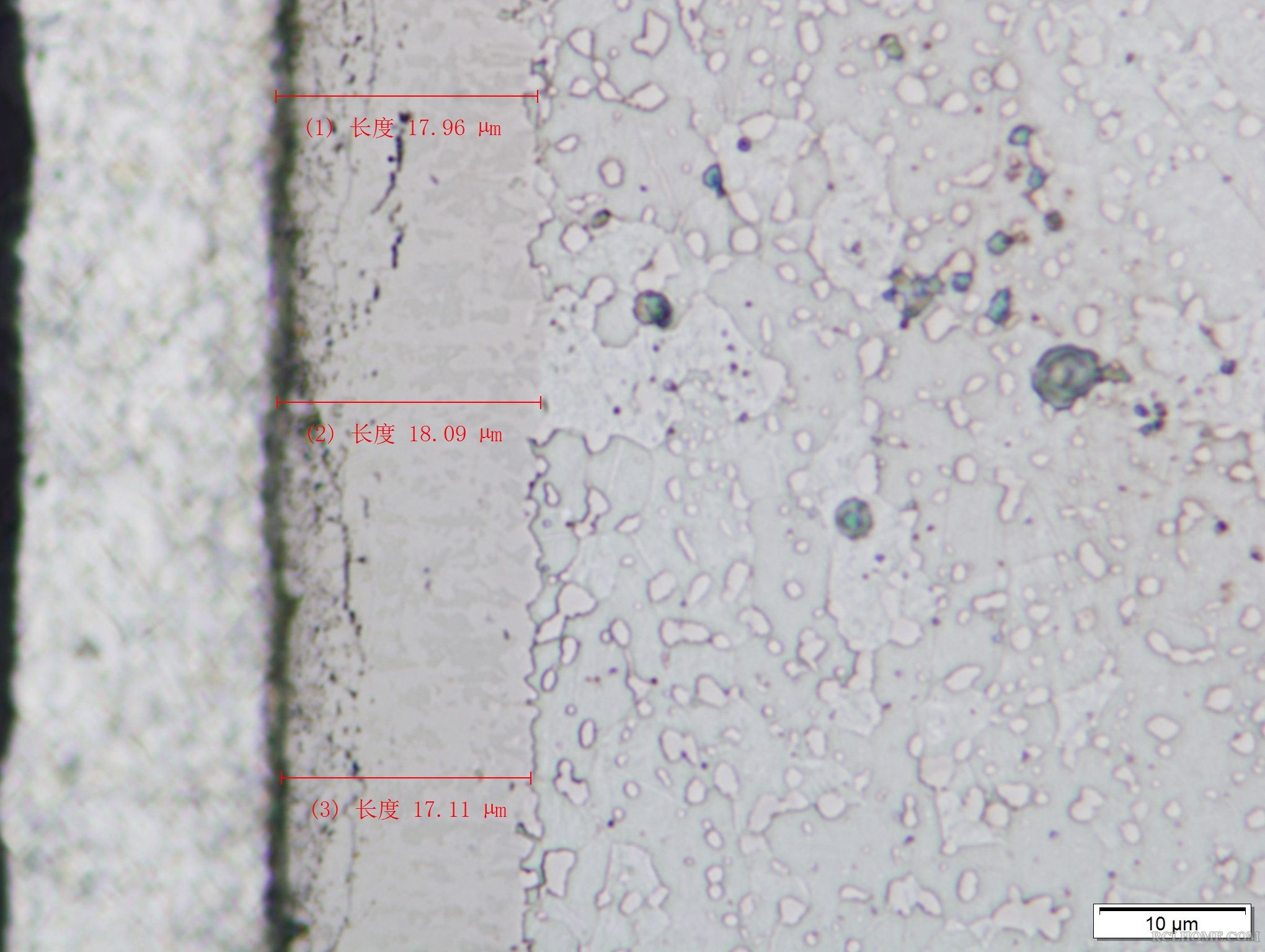 65Mn570℃×8h软氮化-02（1000×）.JPG