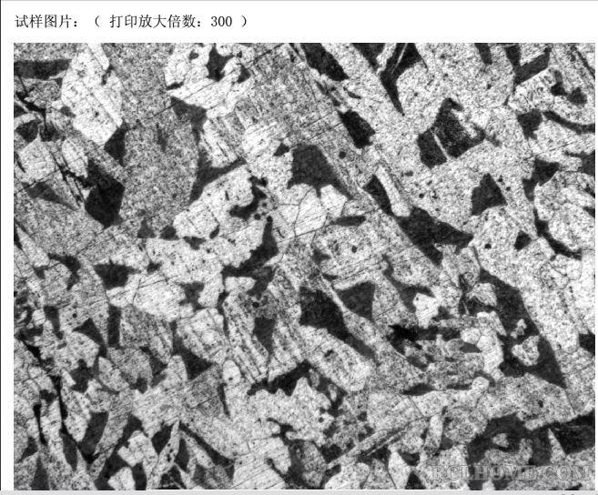 炉子异常升温1000度后铸件心部组织