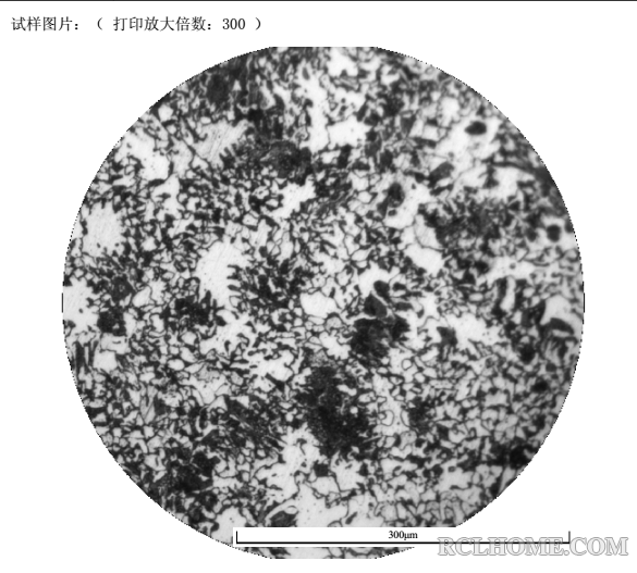 这是何种状态下的组织？能否对组织做下具体分析